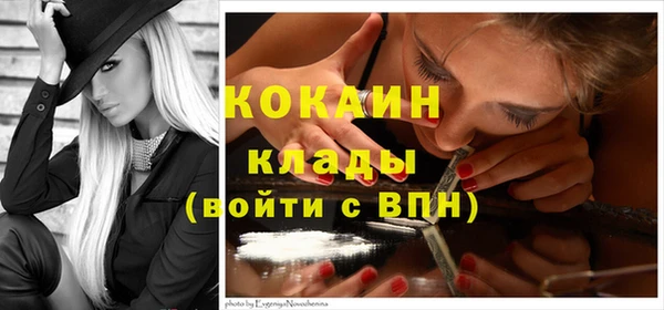 шишки Горно-Алтайск
