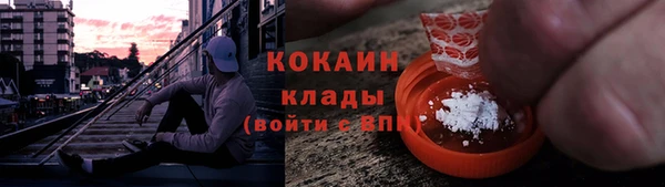 шишки Горно-Алтайск