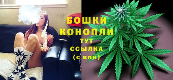 шишки Горно-Алтайск