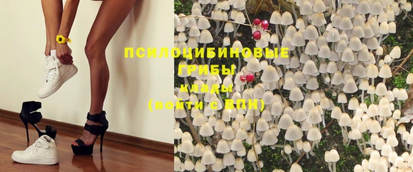 меф Горняк
