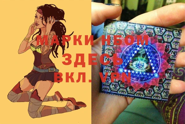 шишки Горно-Алтайск